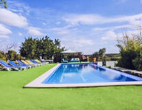 sky, tree, swimming pool, outdoor, grass, sport, athletic game